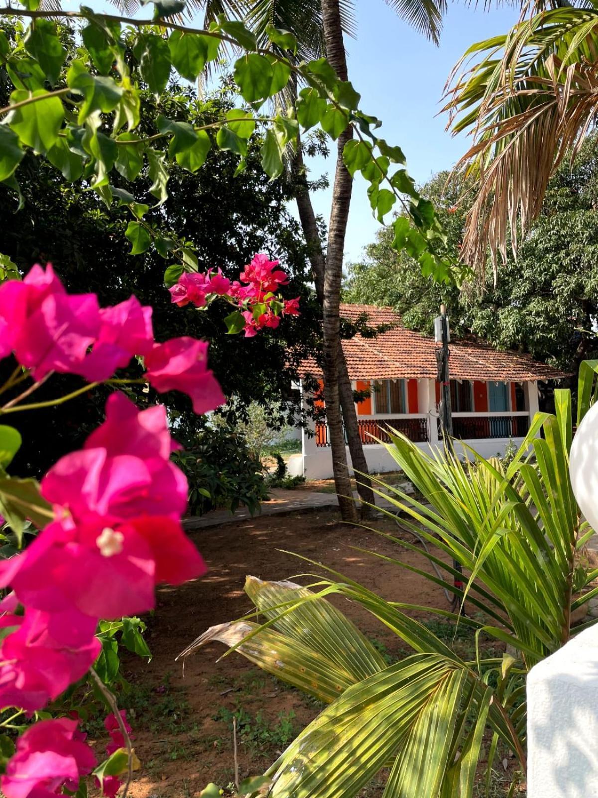 Papilio Beach Front Cottages-Tbv Baga Εξωτερικό φωτογραφία